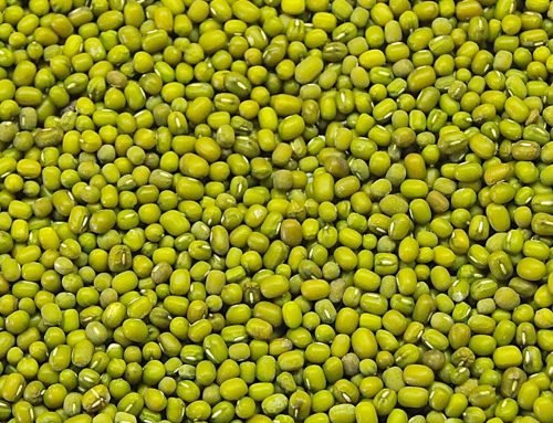 Green Moong Beans