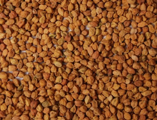 Chick Peas