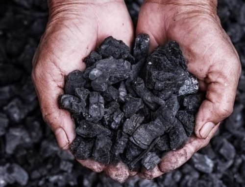 Coal