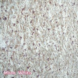 Moon White